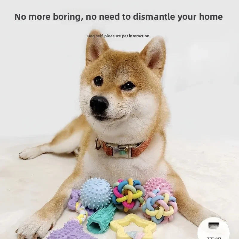 Pet Ball Toys Interactive Rubber Ball Chewing Toy for Small and Large Dogs and Cats Tooth Cleaning Pet Accessories