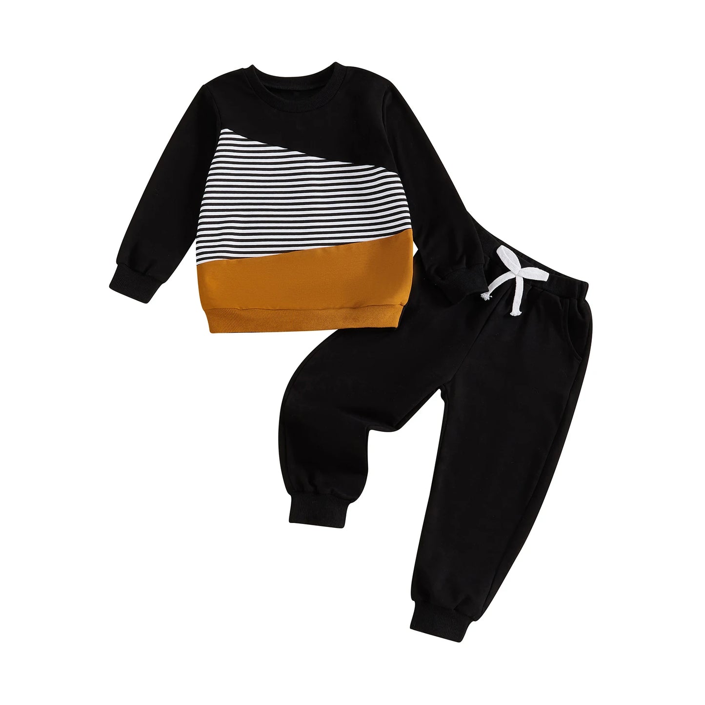 Baby Girl Autumn Winter Outfit Floral Print Hoodie Pullover Elastic Waist Pants 2 Piece Set Toddler Clothing Set