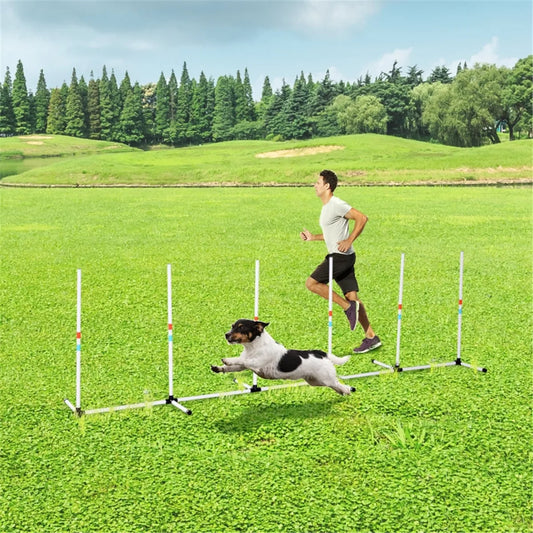 Dog Outdoor Exercise Training Set with 6 Poles and Storage Bag for Agility Training and Play