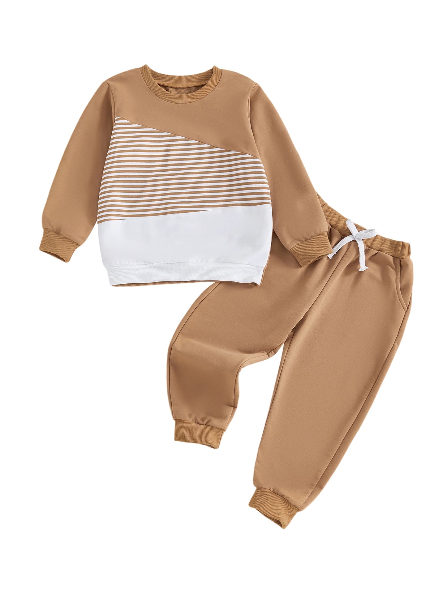 Baby Girl Autumn Winter Outfit Floral Print Hoodie Pullover Elastic Waist Pants 2 Piece Set Toddler Clothing Set