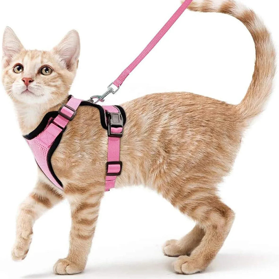 Easy Control Escape Proof Cat Harness and Leash - Soft Adjustable Vest Harnesses for Walking Cats MXQQY01