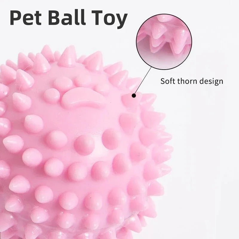 Pet Ball Toys Interactive Rubber Chewing Toy for Small and Large Dogs and Cats Tooth Cleaning Ball Pet Accessories