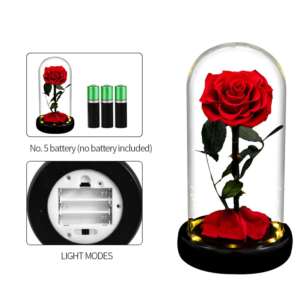 Forever Preserved Real Rose in GlaSS With LED Light Eternal Flower Gifts for Valentine's Day Mothers Day Anniversary Birthday