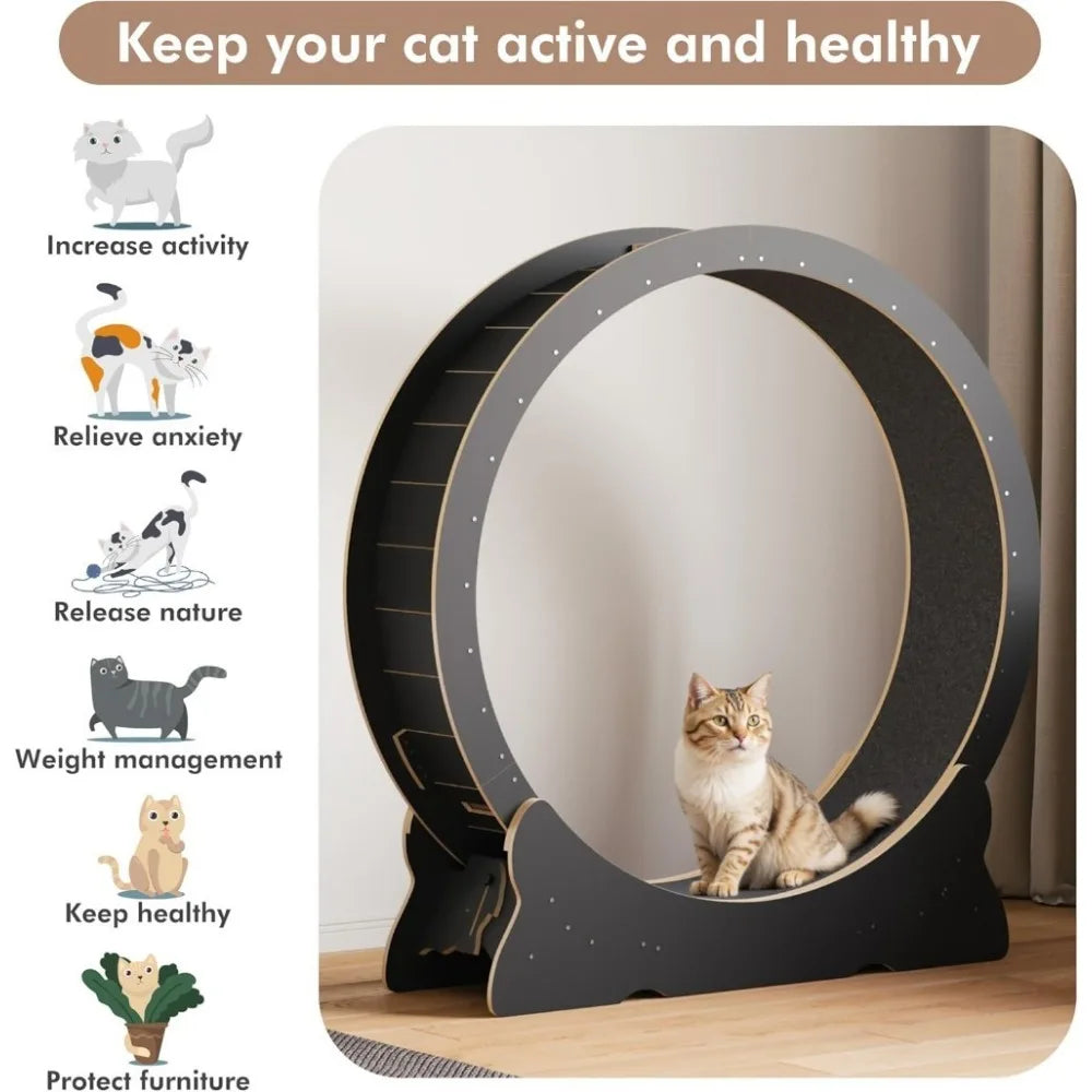 Cat Exercise Wheel for Indoor Cats XL Cat Treadmill with Carpeted Runway Removable Carpet and Teaser