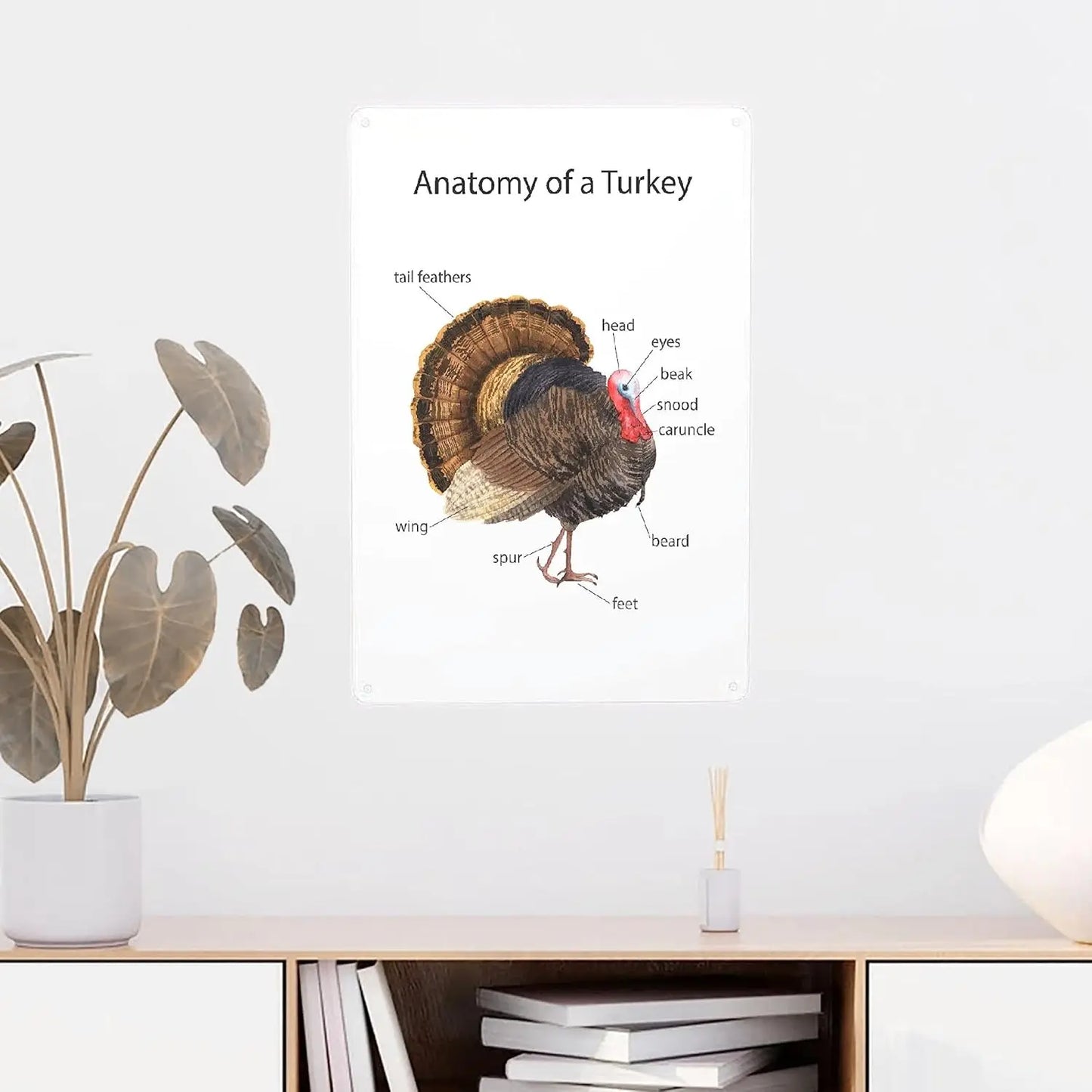 Turkey Metal Poster Sign Decor For Kids Children Boys Girls Decorations Aluminum 12x8 Inch Posters for Gifts for Bar A