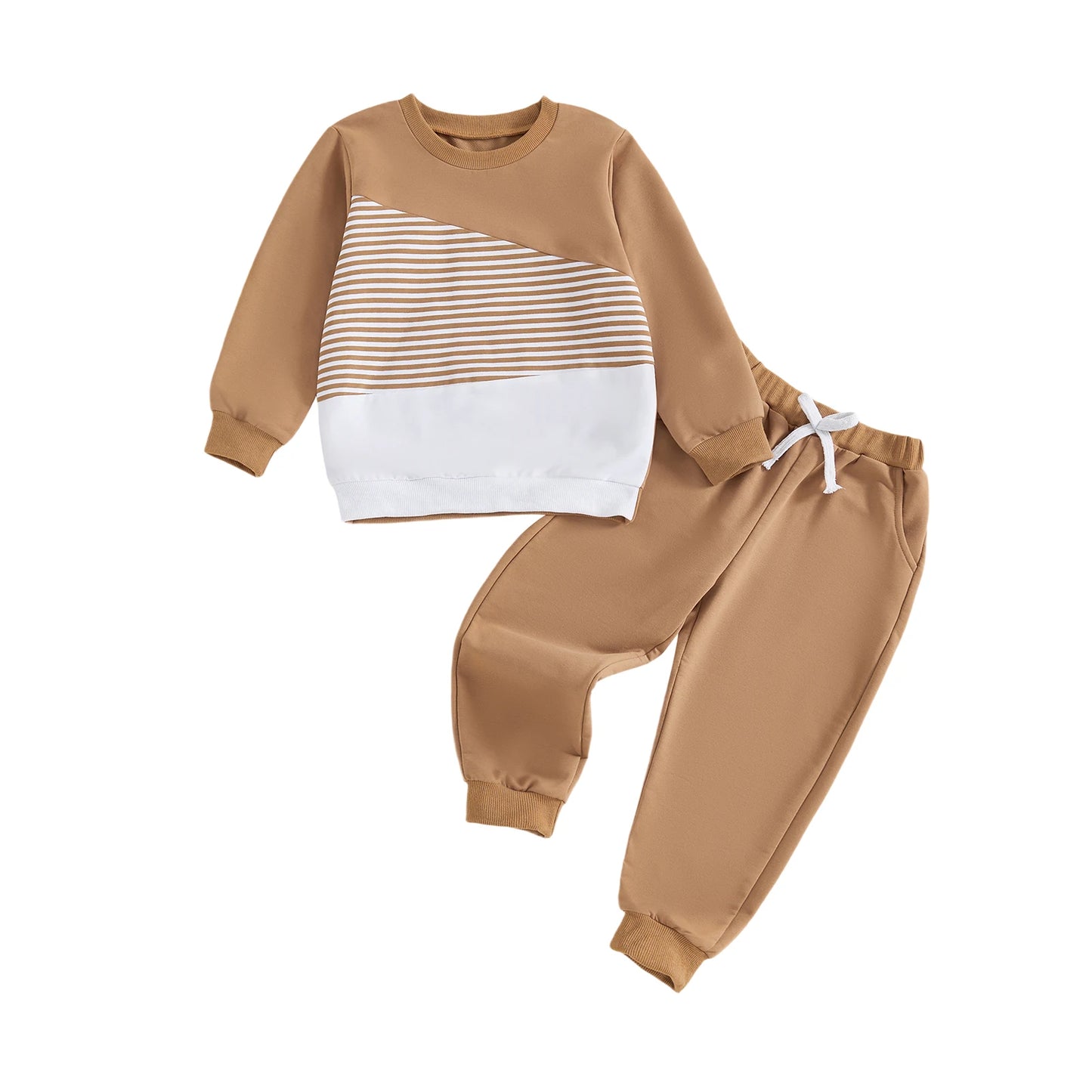 Baby Girl Autumn Winter Outfit Floral Print Hoodie Pullover Elastic Waist Pants 2 Piece Set Toddler Clothing Set