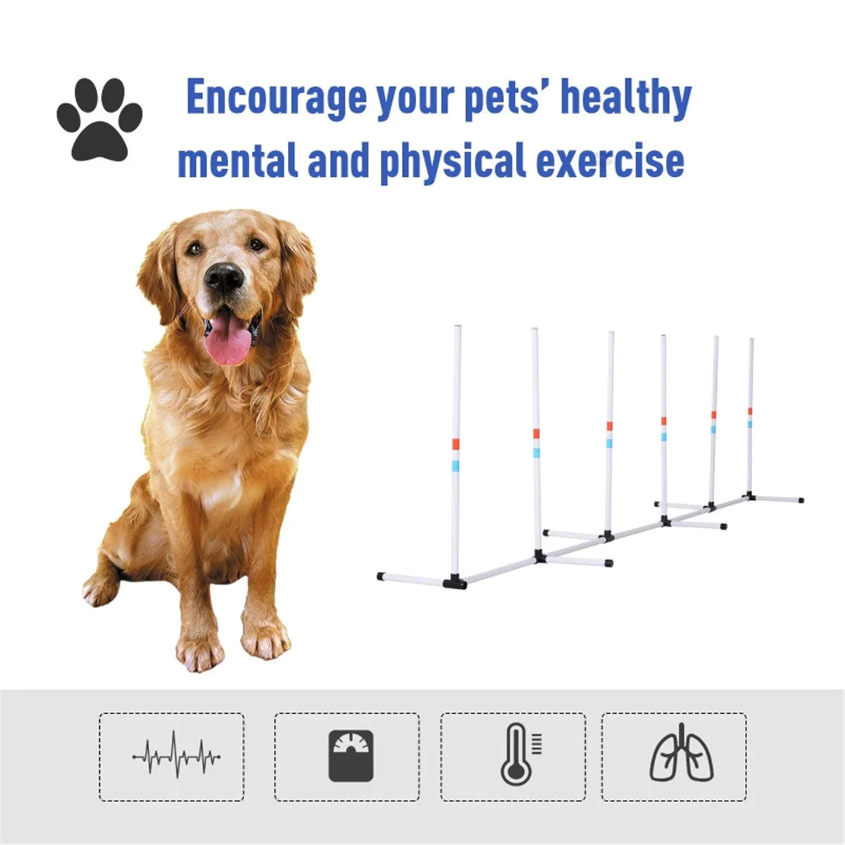 Dog Outdoor Exercise Training Set with 6 Poles and Storage Bag for Agility Training and Play