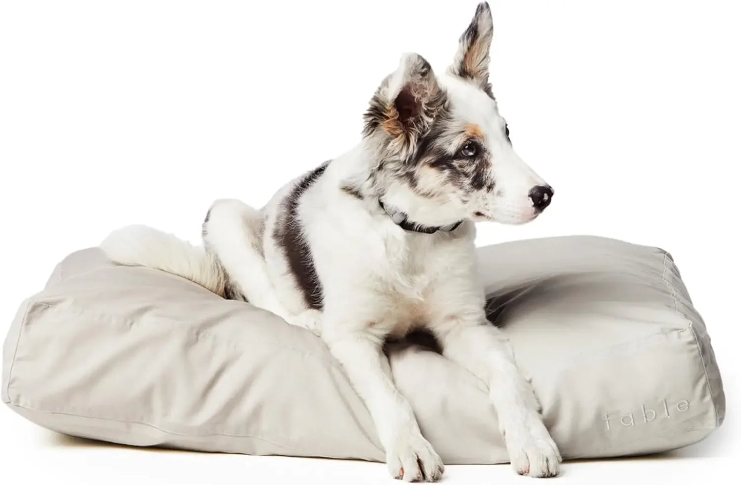 Big Dog Bed Extra Soft Dog Bed Minimalist Design Water Resistant Cushion for Large Dogs and Small Humans