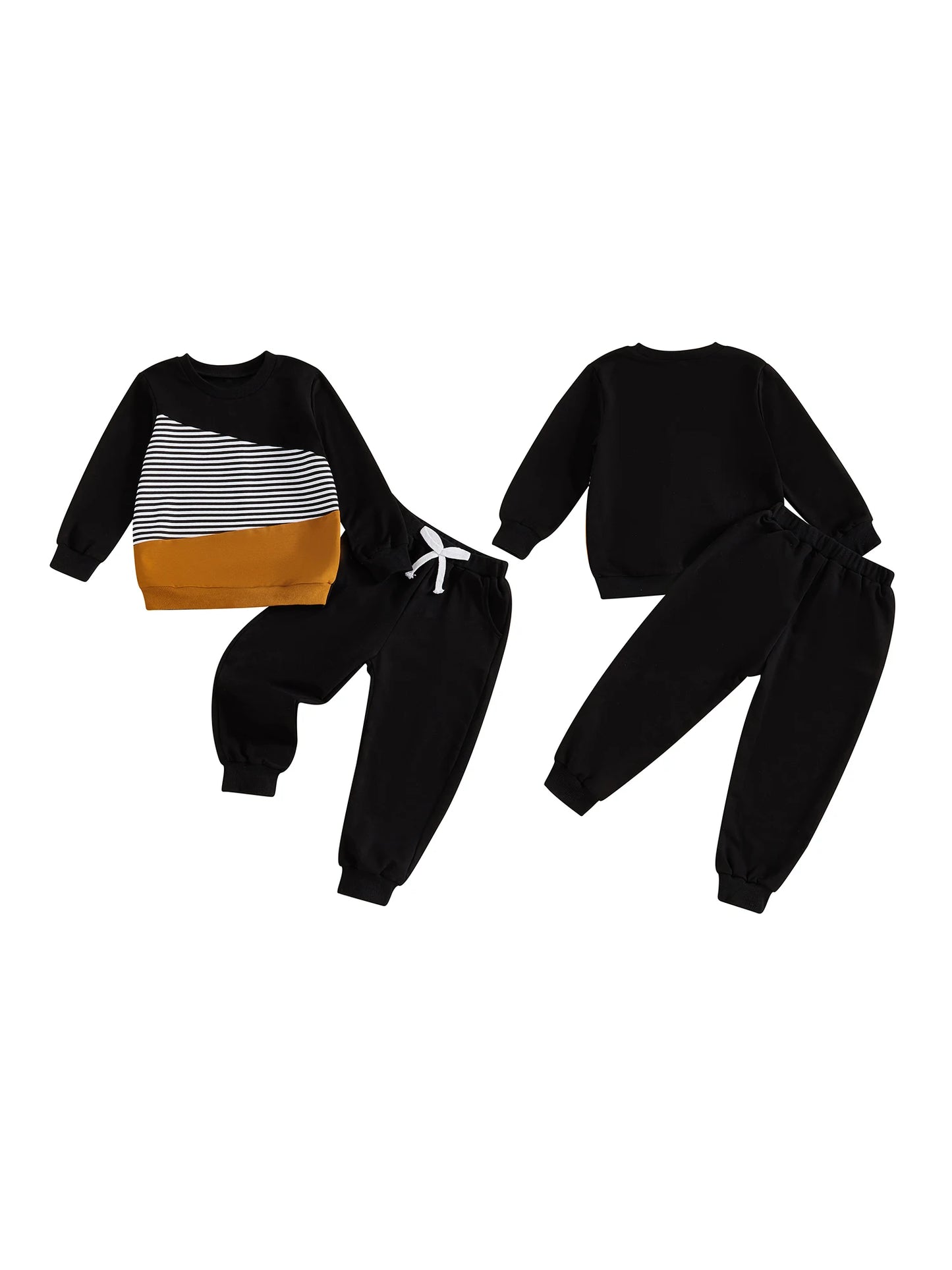 Baby Girl Autumn Winter Outfit Floral Print Hoodie Pullover Elastic Waist Pants 2 Piece Set Toddler Clothing Set