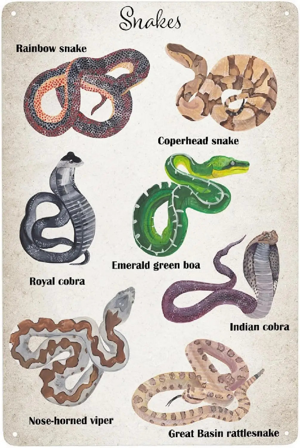 Turkey Metal Poster Sign Decor For Kids Children Boys Girls Decorations Aluminum 12x8 Inch Posters for Gifts for Bar A