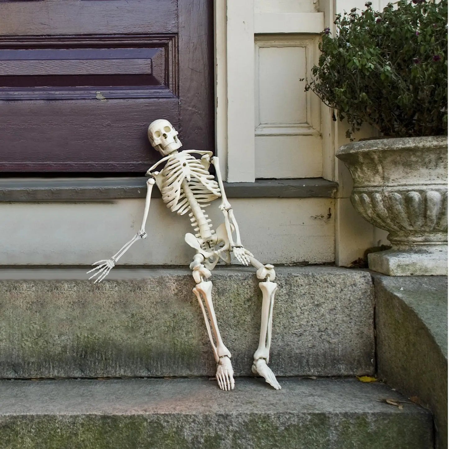 165cm Realistic Plastic Halloween Skeleton Decoration with Adjustable Joints for Home Ornament