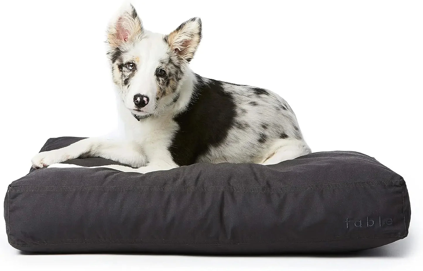 Big Dog Bed Extra Soft Dog Bed Minimalist Design Water Resistant Cushion for Large Dogs and Small Humans