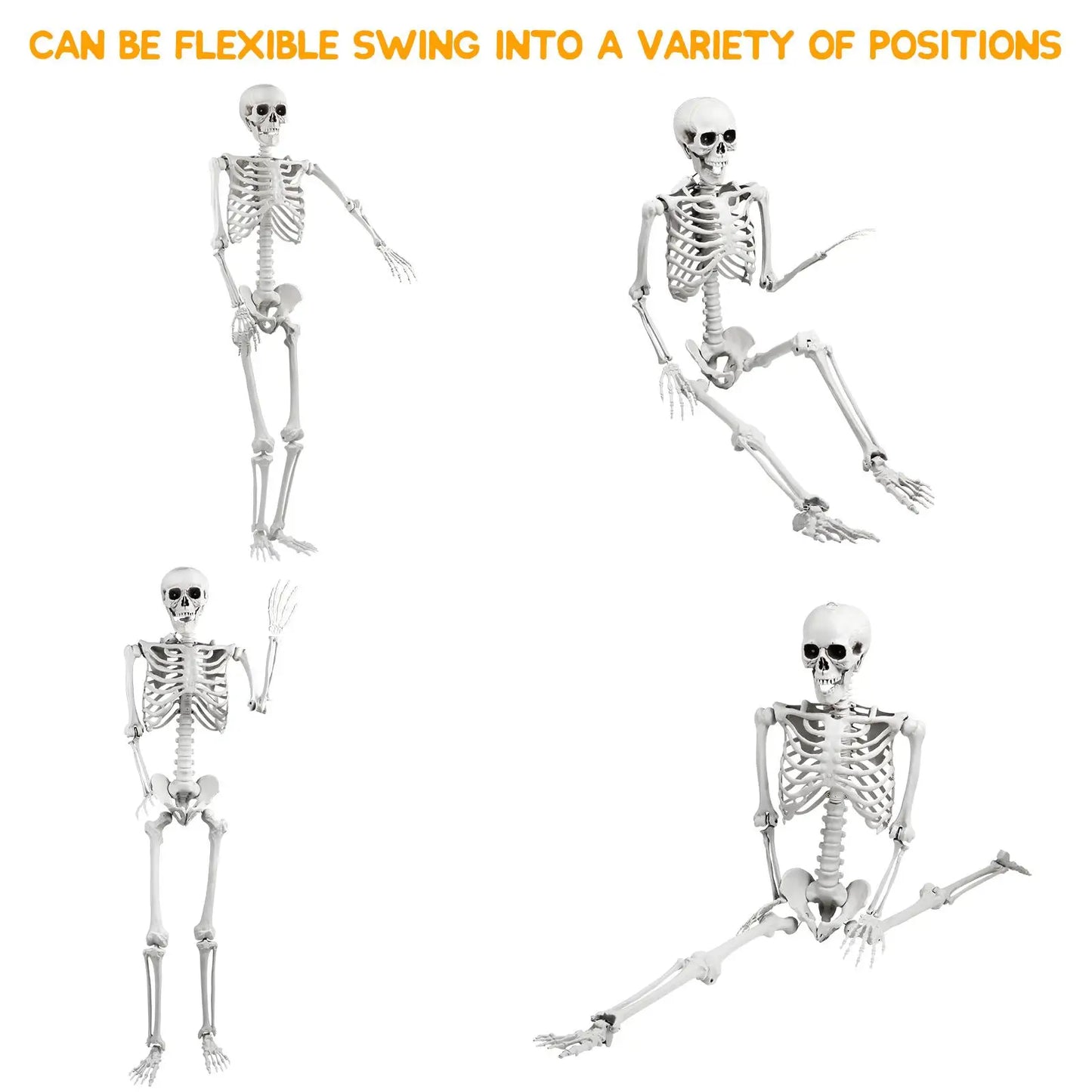 165cm Realistic Plastic Halloween Skeleton Decoration with Adjustable Joints for Home Ornament