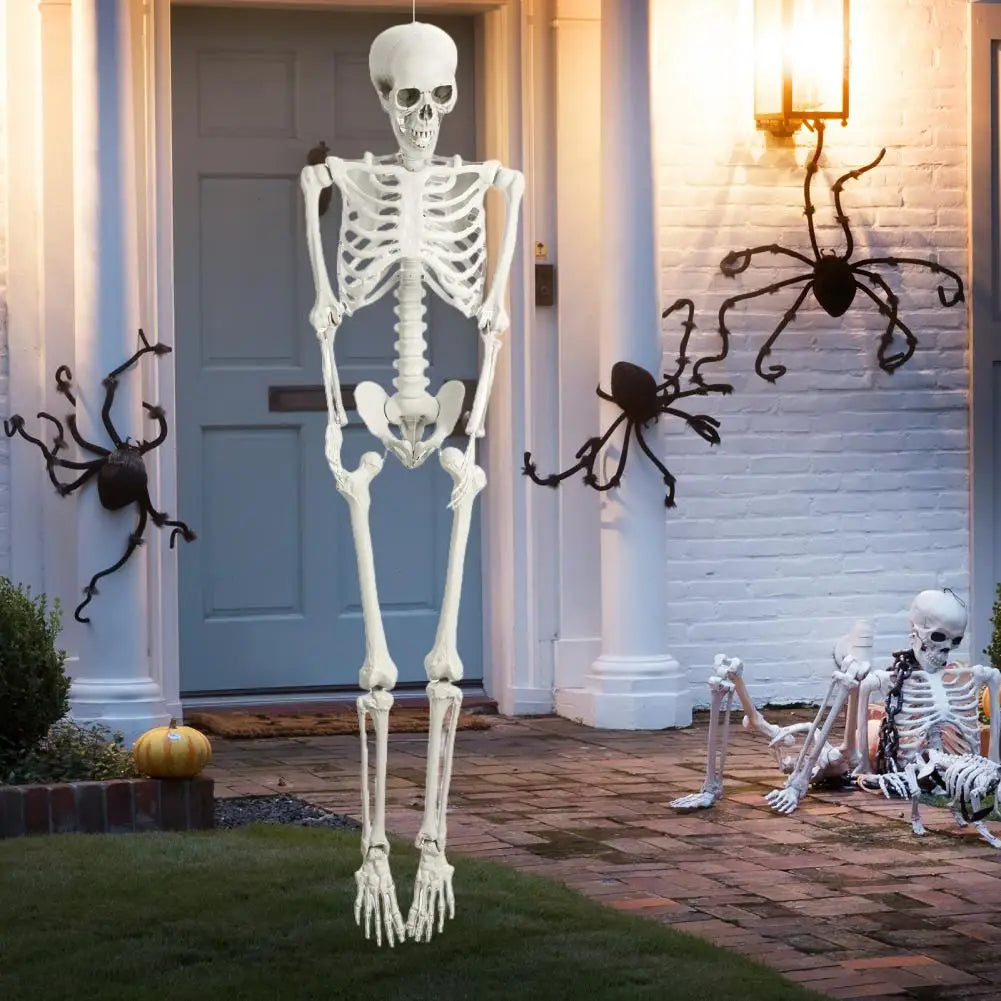 5.4FT Poseable Skeleton Prop Life Size Movable Joint Halloween Decoration