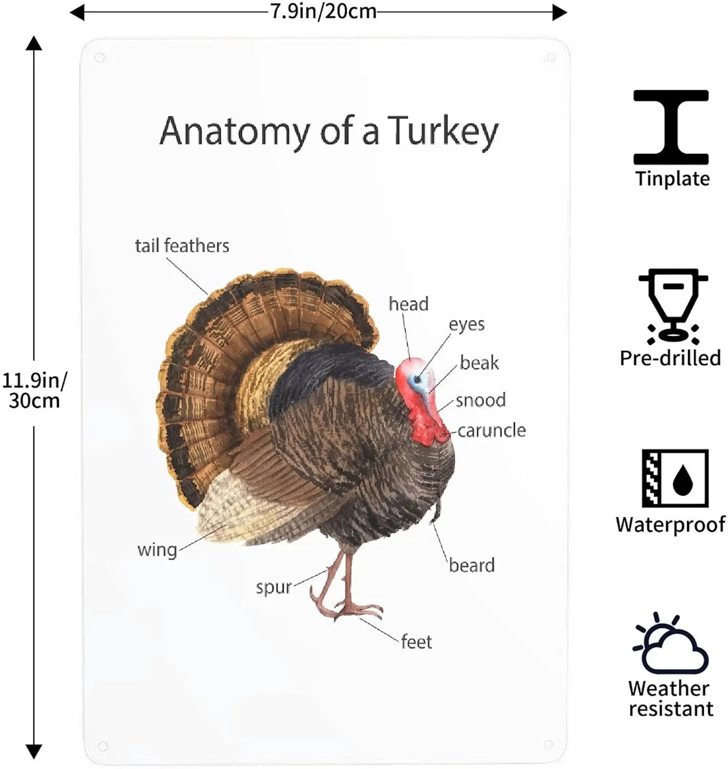 Turkey Metal Poster Sign Decor For Kids Children Boys Girls Decorations Aluminum 12x8 Inch Posters for Gifts for Bar A