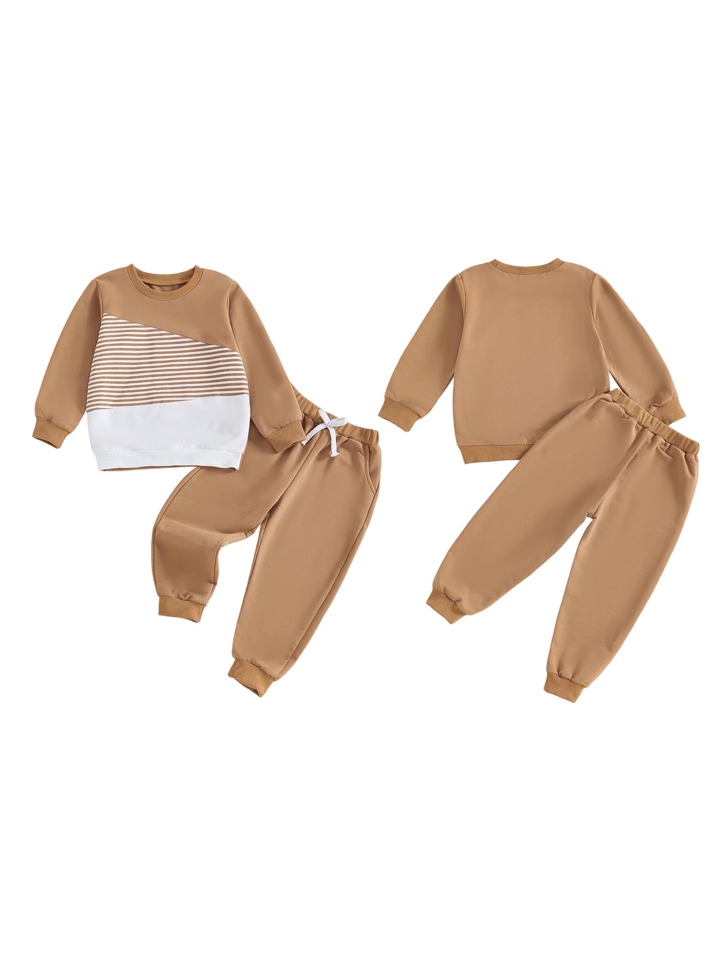 Baby Girl Autumn Winter Outfit Floral Print Hoodie Pullover Elastic Waist Pants 2 Piece Set Toddler Clothing Set