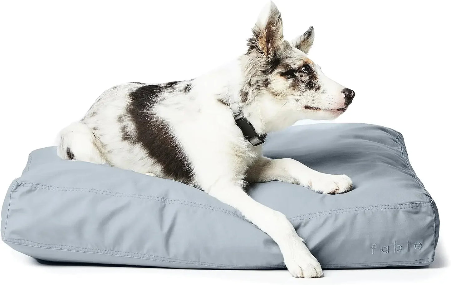 Big Dog Bed Extra Soft Dog Bed Minimalist Design Water Resistant Cushion for Large Dogs and Small Humans