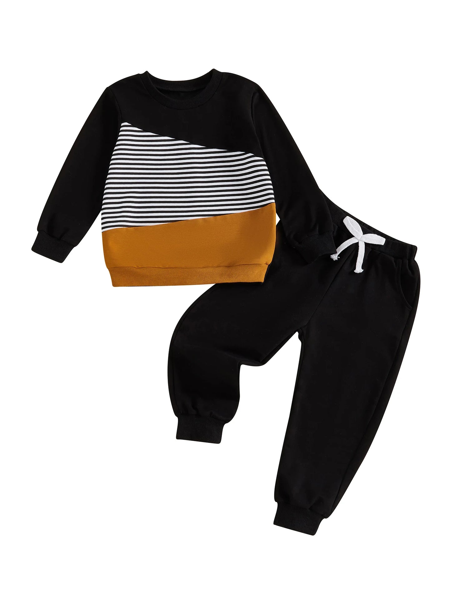 Baby Girl Autumn Winter Outfit Floral Print Hoodie Pullover Elastic Waist Pants 2 Piece Set Toddler Clothing Set