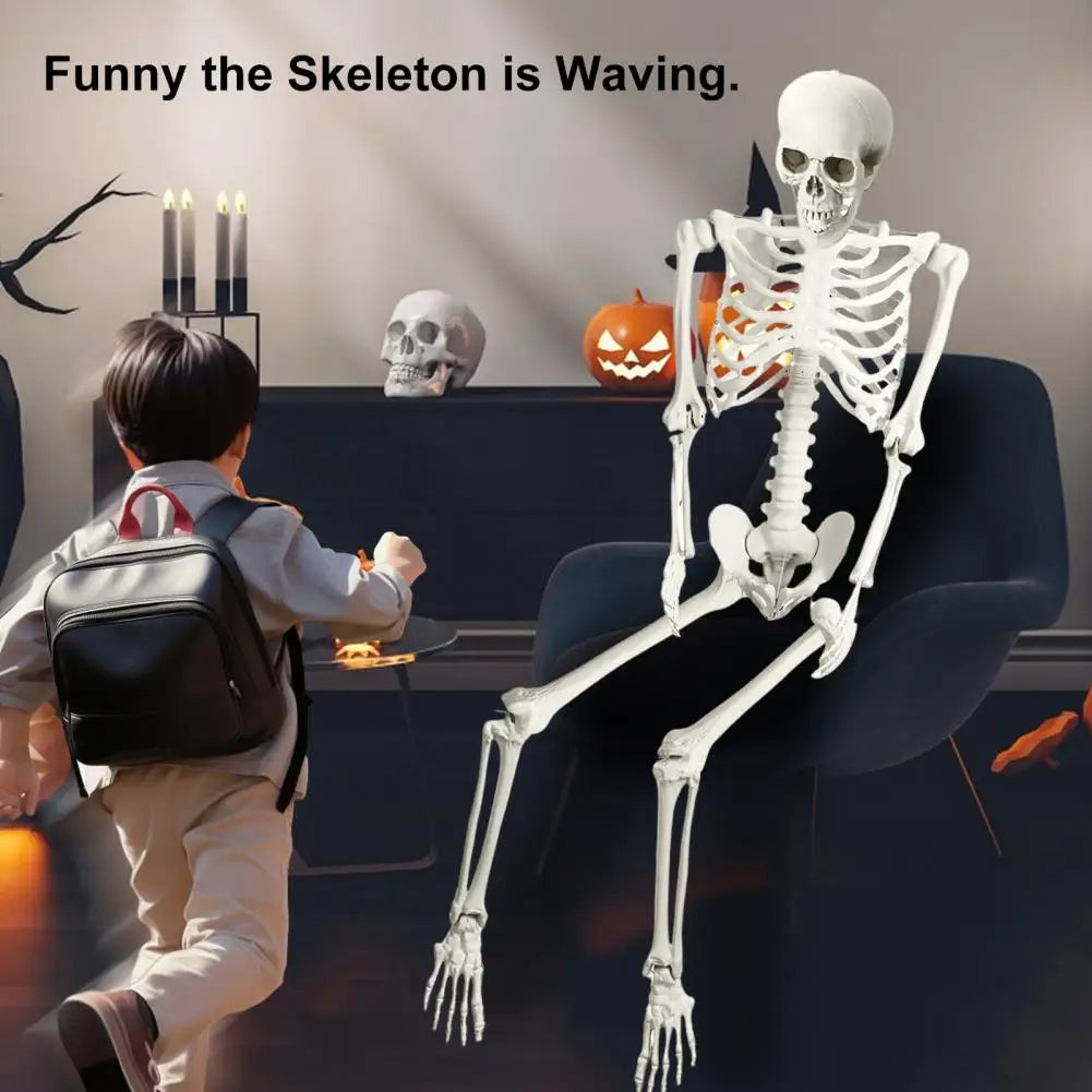 5.4FT Poseable Skeleton Prop Life Size Movable Joint Halloween Decoration
