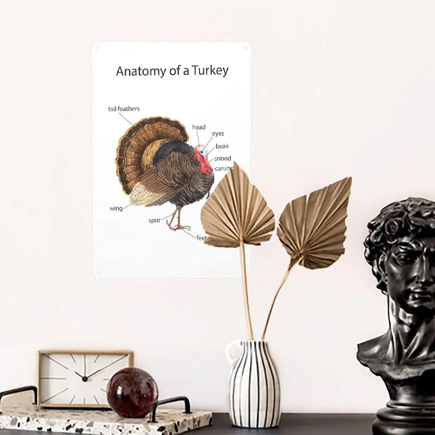 Turkey Metal Poster Sign Decor For Kids Children Boys Girls Decorations Aluminum 12x8 Inch Posters for Gifts for Bar A