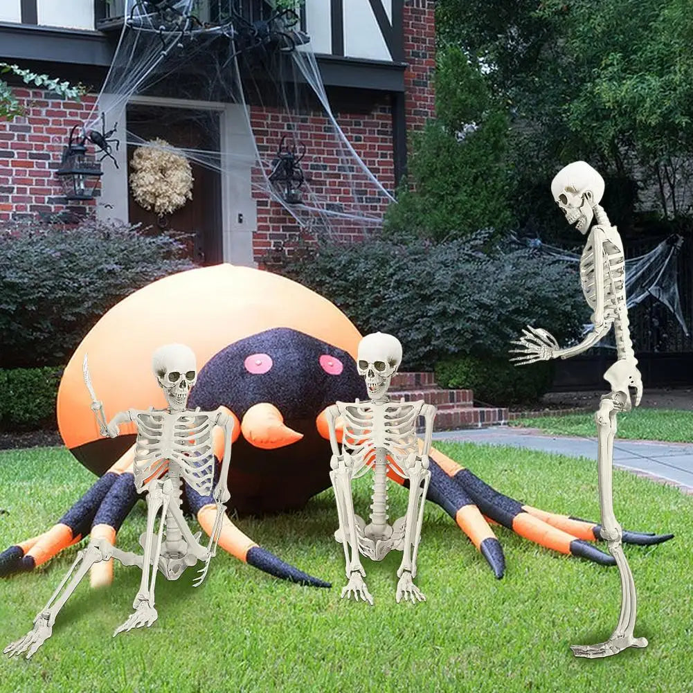 5.4FT Poseable Skeleton Prop Life Size Movable Joint Halloween Decoration