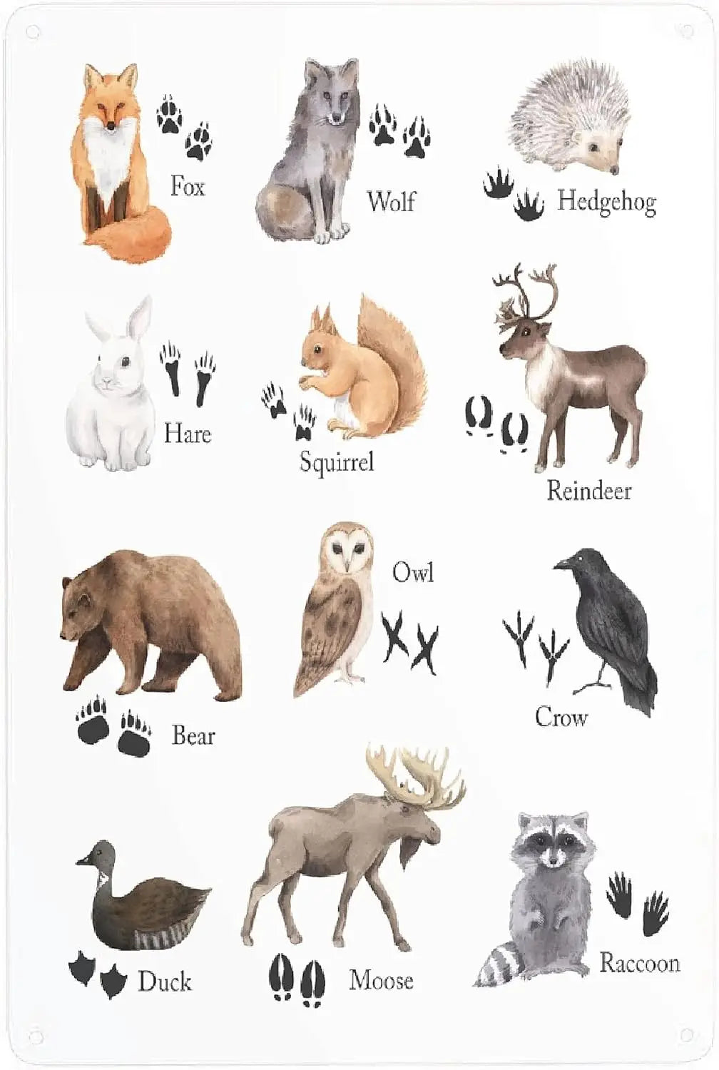 Turkey Metal Poster Sign Decor For Kids Children Boys Girls Decorations Aluminum 12x8 Inch Posters for Gifts for Bar A