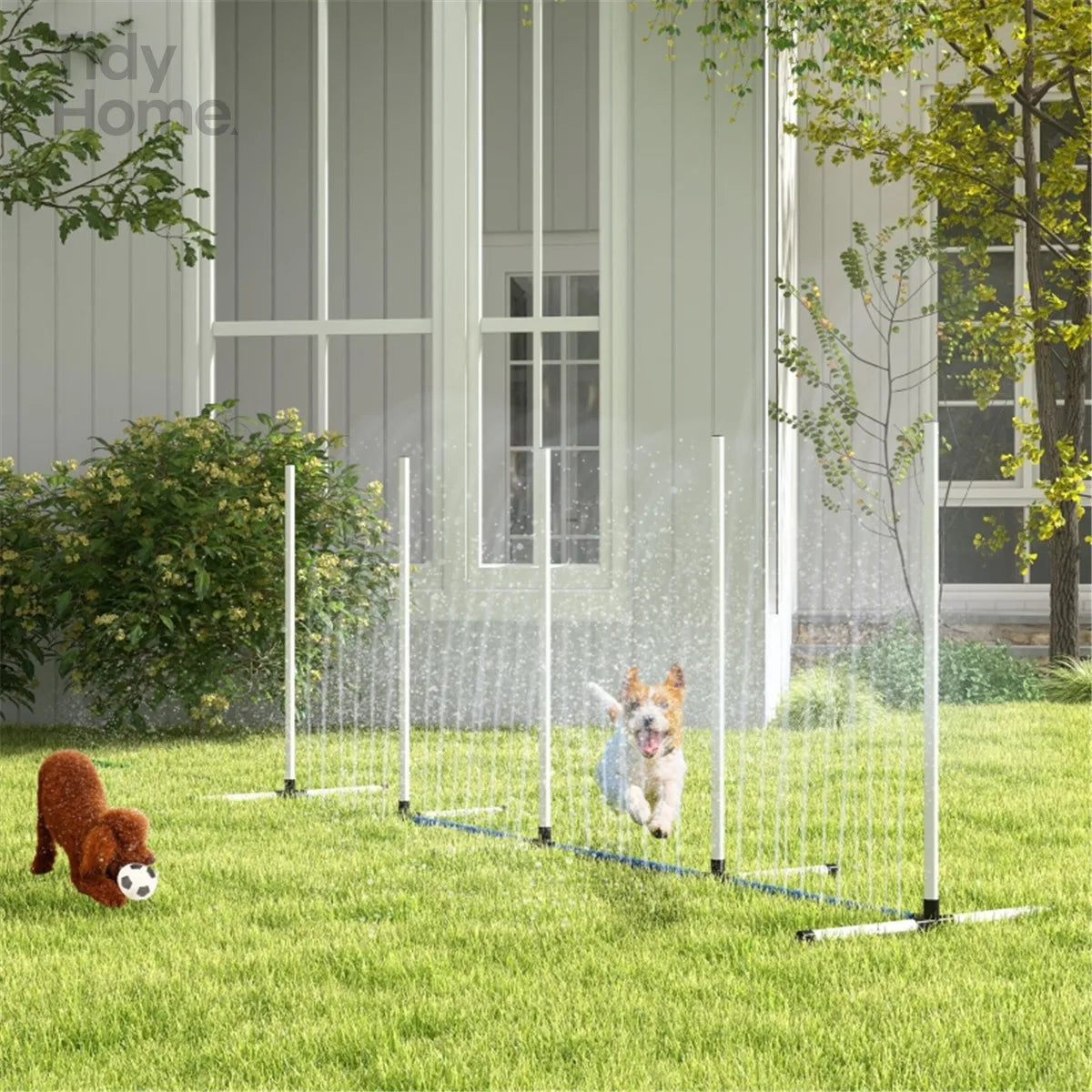 Dog Outdoor Exercise Training Set with Weave Poles Water Tube and Whistle for Pet Agility